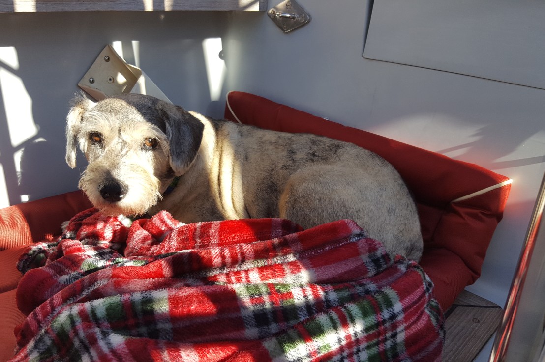 Big Tides, New&nbsp;Chartplotter